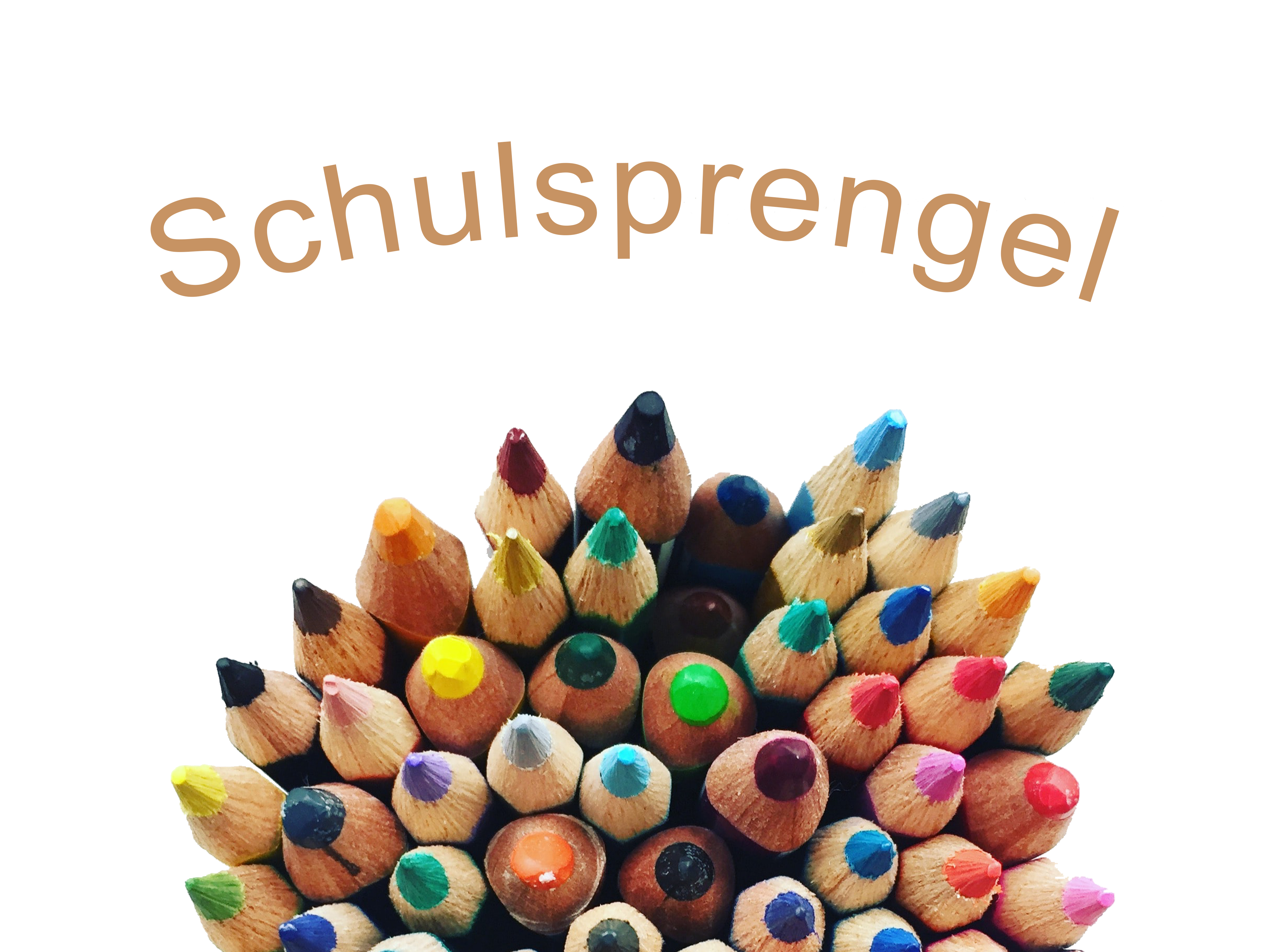 Schulsprengel